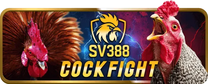 Biểu tượng mã hóa dữ liệu SSL tại 0k9 casino